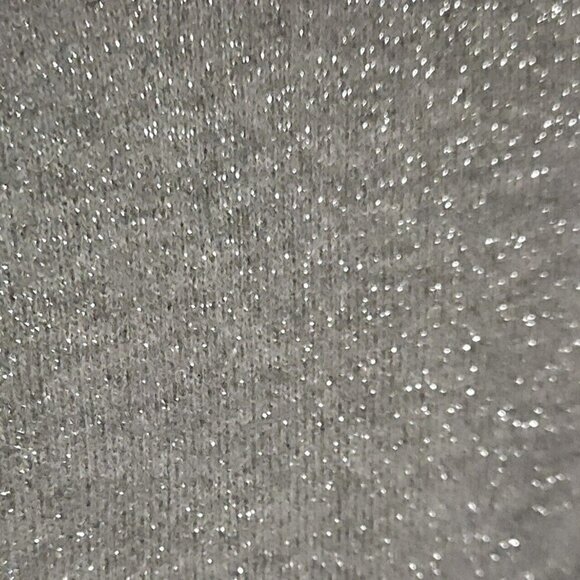 Express Silver Hooded Full Zip Sweatshirt Small - Picture 3 of 5